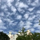 연세두리치과의원 이미지
