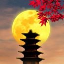 달아달아밝은달아 이미지