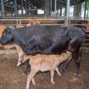 용촌농장 이미지