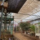 홍성농장 이미지