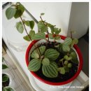 이박목장 이미지