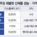 터줏대감