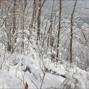 ▣ 홍천:- 새해에 찾아보는 4대명산 탐방 & 둘째날:- 계방산설경-1 이미지