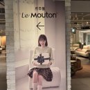 트레이닝 메이트 | 르무통 메이트 메리노울 운동화 착용 후기 장시간 신어도 편안한 데일리 운동화