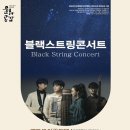 블랙스트링 콘서트 이미지