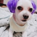 봉자농장 이미지