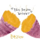 호박고구마
