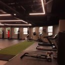 용인대NEW복싱 동홍2호점 이미지