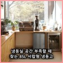 냉동 식품 소분도 넉넉하게 들어가는 더함 CHIQ 85L 서랍형 미니 냉동고의 매력