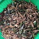 명품유황오리 이미지