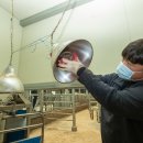 한우사육사 이미지