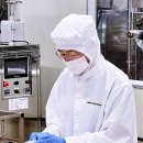 웰리스팜 이미지