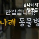 봄나래동물병원 이미지