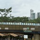 꿈의숲 스타약국 | 북서울꿈의숲 라포레스타 다녀온 후기