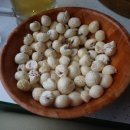 오라고(ORAGO)