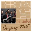 산울림 1집~22집까지 이미지