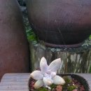 제주도집 민박 이미지