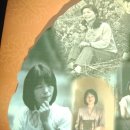 서도리 소교량 12 | 남원시 사매면 혼불 문학관