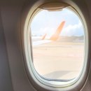 지구 온난화, 탄소 여권 추진 이유 이미지