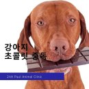 지.TOP펜션 이미지