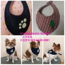 문화애견 이미지