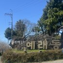 예래동 가가동 | 제주 서귀포 여행 일기- 연돈 솔직후기, 헬로키티아일랜드, 예래생태공원 벚꽃