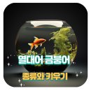 소망열대어수족관