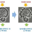Fine S.B.S 사우나 이미지