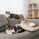 송파새날동물병원 이미지