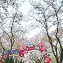 (주)평화산소 이미지