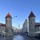 에스토니아 탈린시 old city(세계문화유산) 툼페아 성곽 정문 이미지