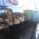 프로덴트카오디오 이미지