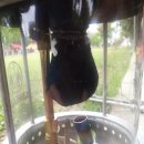 서원농원 이미지