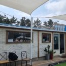 신항만 반점 이미지