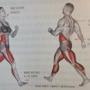 PT국대들 이미지