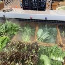 양평농협 강상주유소 | 리버앤힐 캠핑, 차박 장보기 '하나로마트 양평농협강상점'