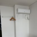 제주오다 이미지