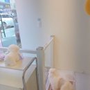 지나댕댕 이미지