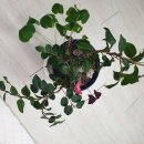 미앤끼미용실 - 안산시 단원구 와동공원로 151 | 미앤끼미용실