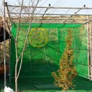 늘봄농장 이미지