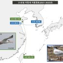 갈매기나라 이미지