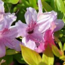 지리산휴게소 이미지