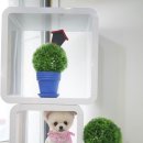 도그살롱 이미지