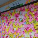 사랑애견 이미지