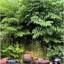 큰말하우스 이미지