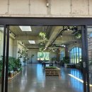 표선면-13 | 5월 제주 아이랑 가볼만한곳 추천, 보롬왓 열무꽃과 깡통기차 후기