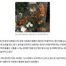 몸부림치는 절단 랍스터, 왕관 씌워 손님상에…"잔인하다" 말나온 이유 이미지