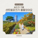 센트럴파크 6 | 송도 센트럴파크 걷기캠페인 후기 : 가을 단풍 따라 걷는 산책코스 추천!