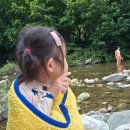 비치클럽펜션민박 | 가평물소리펜션 가평용소폭포촌캉스 ,할머니민박집