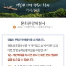왕사남 강원도 영월 청령포 문화관광 해설사 시간 및 장소, 예약법,주차 정보 및 해설사 후기